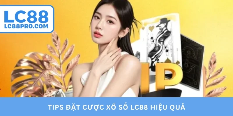 Tips đặt cược thông minh cho người mới